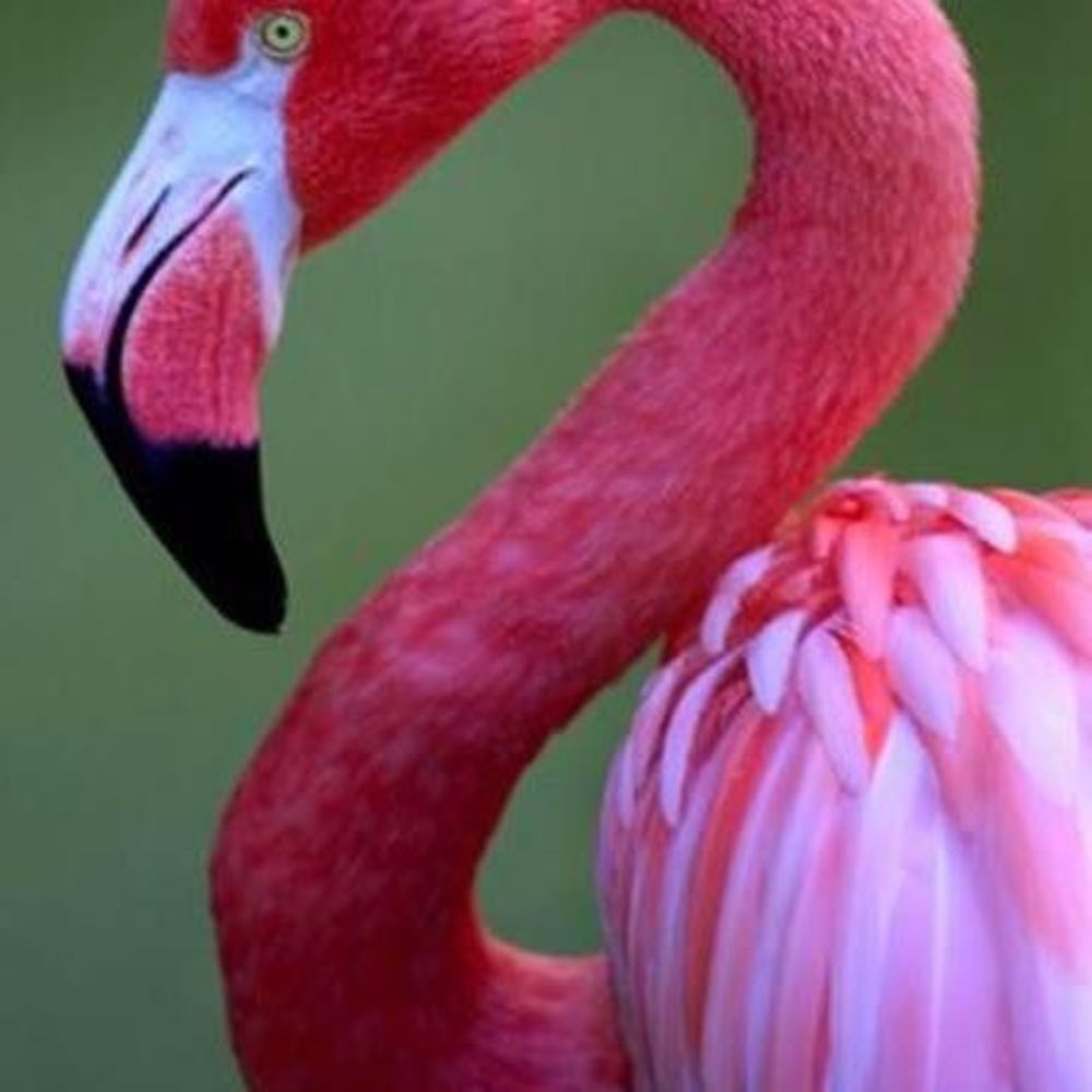 Meet your Posher, Eleanor